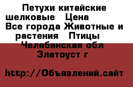 Петухи китайские шелковые › Цена ­ 1 000 - Все города Животные и растения » Птицы   . Челябинская обл.,Златоуст г.